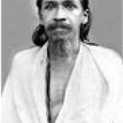Sri Aurobindo SA-018