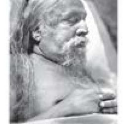 Sri Aurobindo SA-040