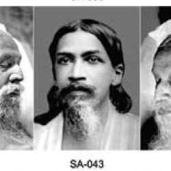 Sri Aurobindo SA-043
